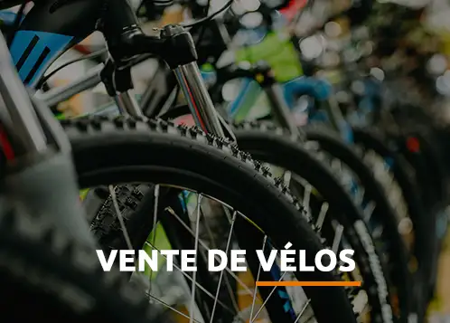 Vente de vélos à Auray et Vannes